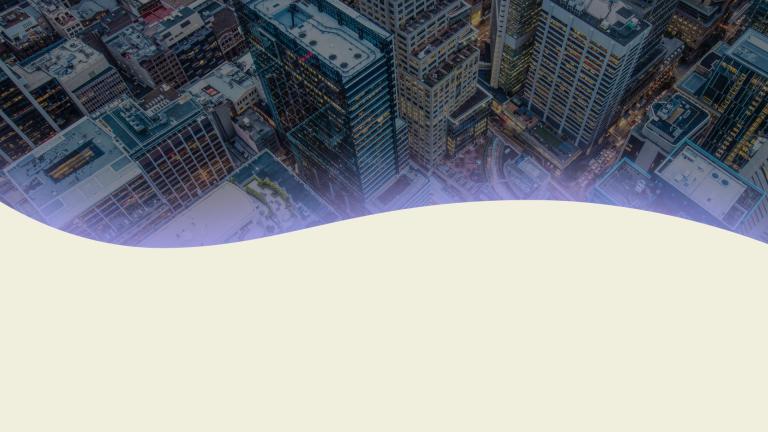 AIM Mini MBA in Health and Effectiveness