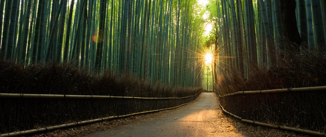 Stepping up the transition to leadership