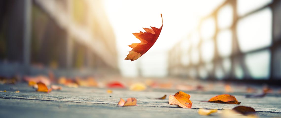 AIM Blog - Why effective leaders use the power of silence